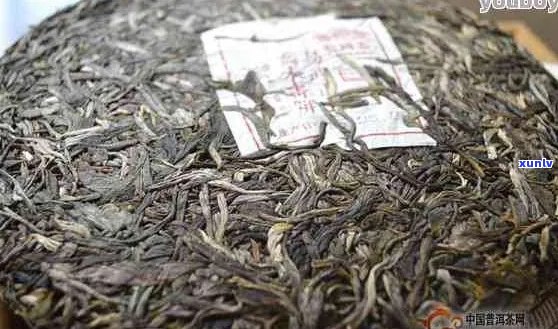 普洱茶能存放多少时间不变质：探讨普洱茶叶的保期