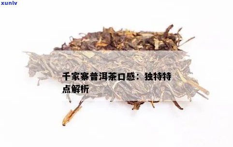 '千家寨普洱茶口感怎么样？千家寨普洱茶特点与好坏判断'