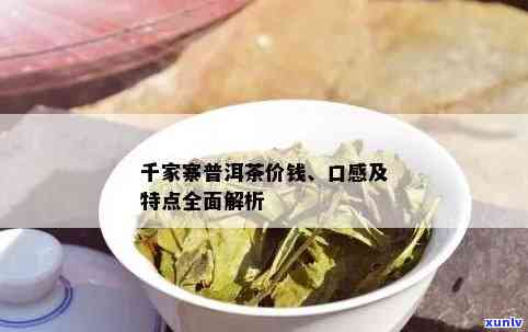 千家寨普洱熟茶价格查询及特点口感分析 - 了解最新市场价