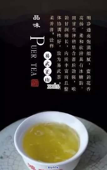 鸿号鸿泰普洱茶：品质越，历底蕴深厚，收藏与品鉴的全方位指南