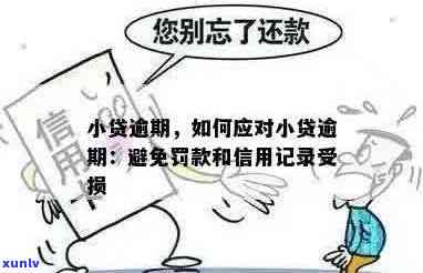 小额信用贷款逾期后果：如何应对？