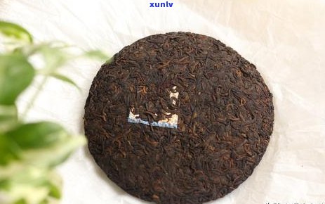 放了3年的普洱茶还能喝吗？有吗？为什么普洱茶能存放这么长时间？