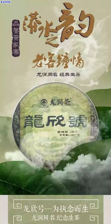 龙润普洱茶官方网站，正品保障，全球直供，品质生活从这里开始