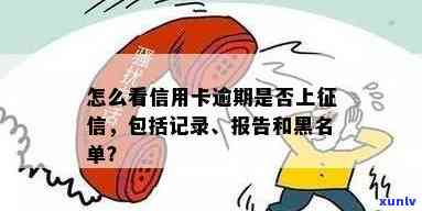 怎么查看信用卡逾期是否上记录及报告：详解黑名单与否