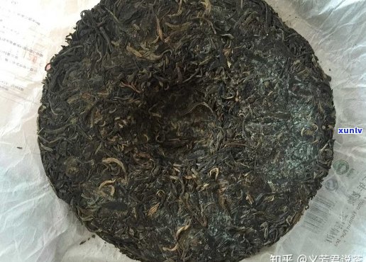 普洱茶发霉了怎么办？如何处理？