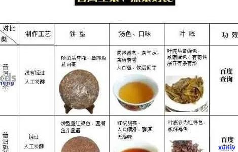 狍肉与普洱茶：可以同时食用吗？如何搭配以达到口感？