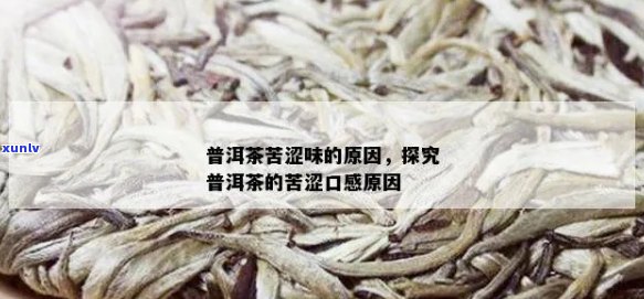 普洱茶的苦涩口感：原因、种类及品饮技巧