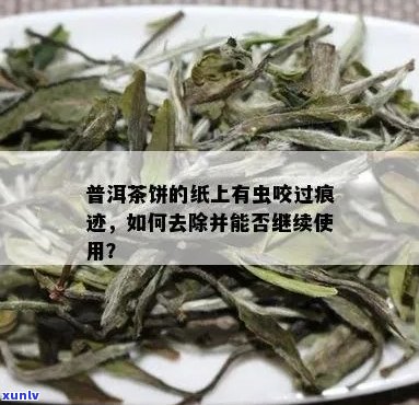 探究普洱茶纸像被虫咬现象：原因、影响及解决 *** 