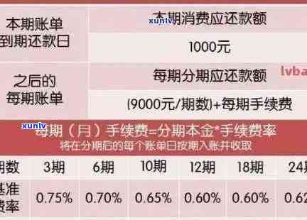 信用卡欠款逾期：如何查看还款记录以及有效应对策略