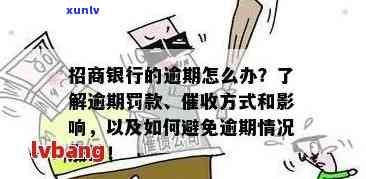 招行信用卡逾期相关问题解答：如何处理逾期款项、影响信用评分以及解决方案