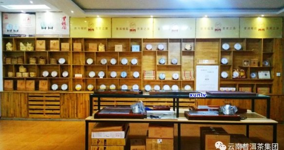 中国普洱茶专卖店TOP10:优质茶叶与专业服务的完美结合