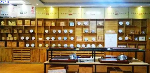 中国普洱茶十大知名店：全方位指南助您挑选顶级茶叶与专业品鉴体验