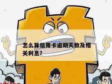 信用卡逾期天数：如何判断与计算？