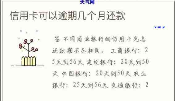 信用卡逾期还款期限全面解析：逾期天数、宽限期及后果一网打尽！