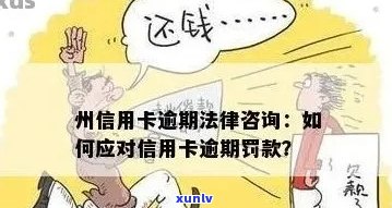 咨询律师信用卡逾期案例