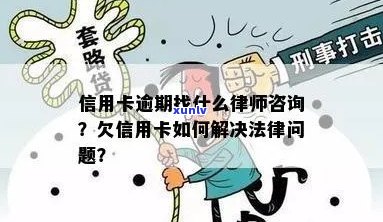 咨询律师信用卡逾期案例