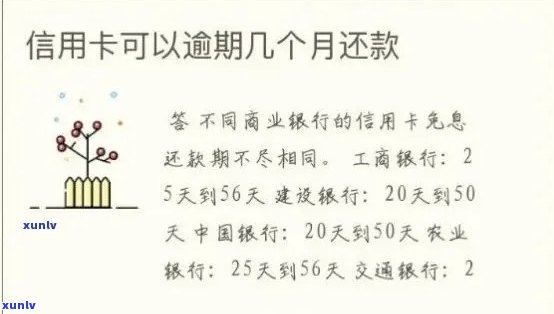 新信用卡逾期未还款如何应对？常见解决办法大揭秘！