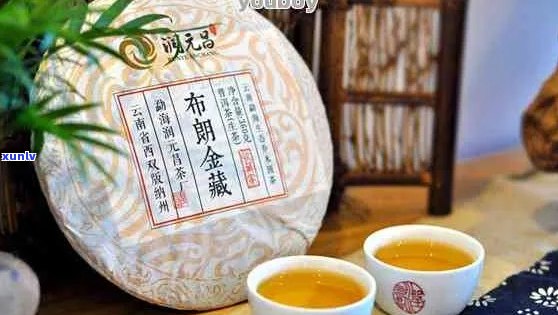 班章金印普洱茶：品种特点、 *** 工艺、品鉴 *** 及收藏价值全面解析