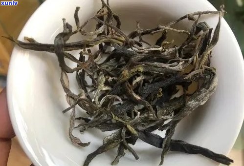 明前春尖普洱生茶：时令特色，高品质茶叶价格解析