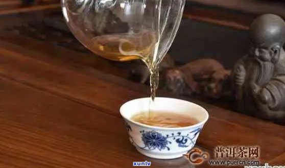 如何正确使用铁杯泡普洱茶？步骤与技巧详解，让你品尝更美味的茶