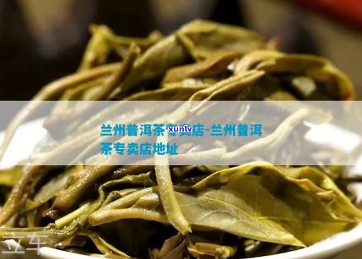 肃省兰州市普洱茶