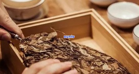 复刻普洱茶：高品质的仿制还是独具风味的新体验？