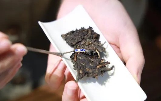 复刻普洱茶：高品质的仿制还是独具风味的新体验？