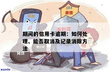 '普洱茶仓味的成因、影响及如何鉴别和改善：一篇全面解答'