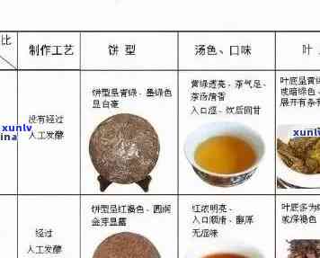 探寻茶文化：品味人爱的熟普洱茶种类及其特色