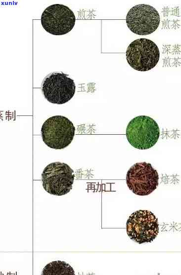 探寻茶文化：品味人爱的熟普洱茶种类及其特色