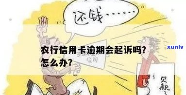 农行信用卡欠款被起诉，如何应对？