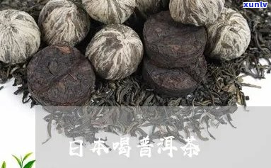 人喝的熟普洱茶