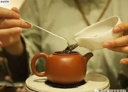 紫砂壶泡普洱茶的可行性：材质、容量与泡茶技巧全面解析