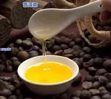 普洱茶能放椰子油吗？为什么？有吗？普洱茶可以做油茶吗？能刷油吗？