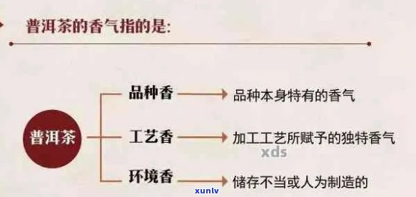 普洱茶的陈香与麦香有何异同？如何区分二者的香气特征？