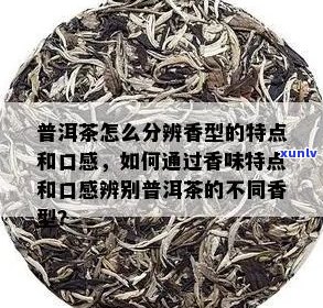 普洱茶的陈香与麦香有何异同？如何区分二者的香气特征？