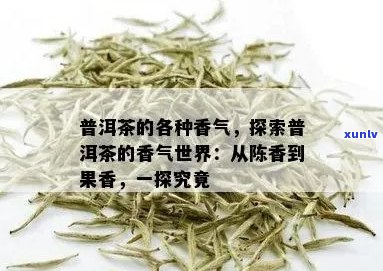 普洱茶的陈香与麦香有何异同？如何区分二者的香气特征？