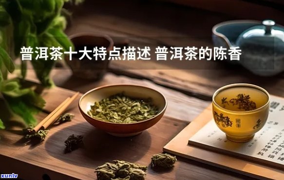 普洱茶的陈香和麦香