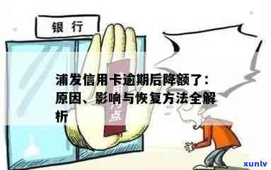 浦发信用卡逾期解封详细流程：如何恢复使用？