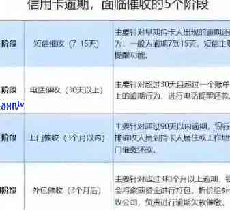 信用卡逾期免息还款攻略：如何避免高额利息与罚款