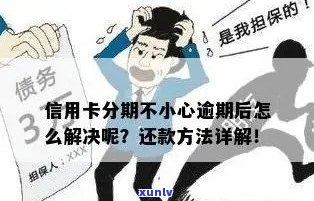 信用卡逾期免息分期还款全攻略：如何避免利息、期还款及更多解决方案