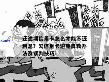 信用卡逾期怎么免息最划算，还款方式和谈判技巧。