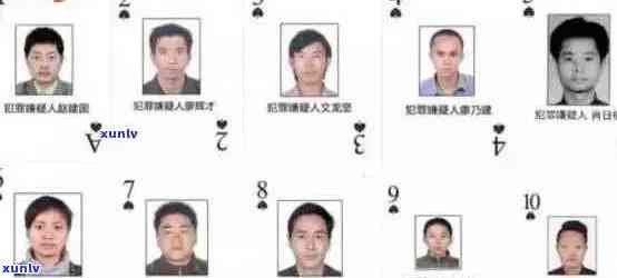 欠信用卡被通缉犯人员名单查询 *** 