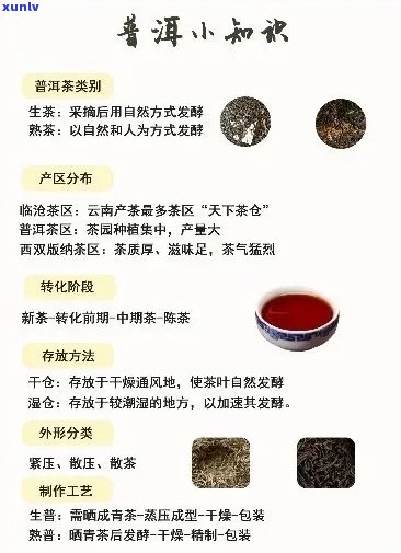 新普洱茶价格表中的提取物成分及其功能解析