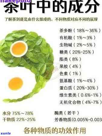 普洱茶提取物的主要成分：深入解析其独特的健益处和化学构成