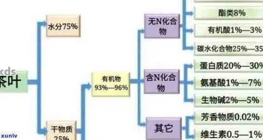 普洱茶提取物的主要成分：深入解析其独特的健益处和化学构成