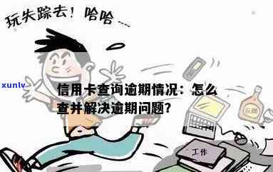 如何查询信用卡逾期次数以及解决逾期问题的 *** ？