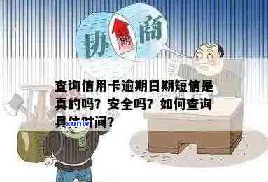 如何查询信用卡逾期时间及相关详细信息？