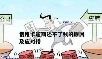 信用卡逾期后如何寻求其他贷款渠道以解决资金问题？