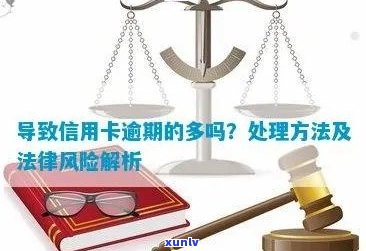 信用卡逾期还款风险与解决方案：如何安全